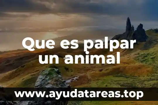 Animal tucán que es lo que comen 7 Que es palpar un animal