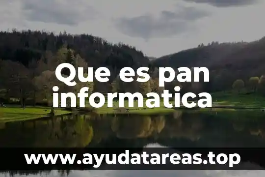 Que significa o que es un arbitracion en informatica 5 Que es pan informatica