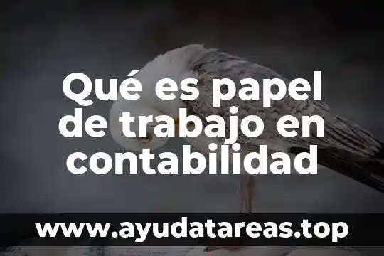 Qué es papel de trabajo en contabilidad