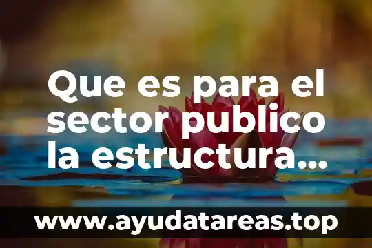 Que es la biodiversidad concepto breve 5 Que es para el sector publico la estructura publica