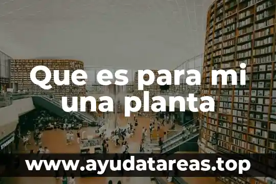 Documento que avale que es mi número telefónico 8 Que es para mi una planta