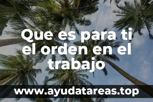 Qué es número de orden 4 Que es para ti el orden en el trabajo