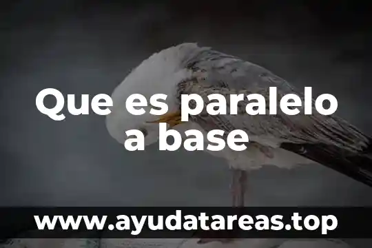 Que es la base de la bandera 3 Que es paralelo a base
