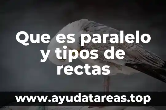 Que es la implementacion del metodo paralelo en auditoria 5 Que es paralelo y tipos de rectas
