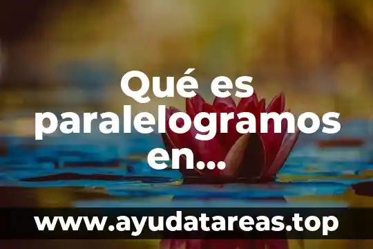 Qué es paralelogramos en matemáticas
