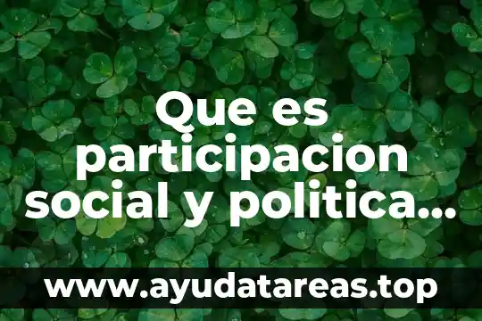 Que es participacion social y politica y comunitaria