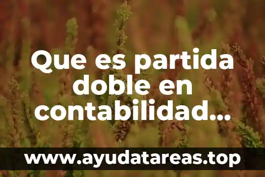 Que es partida doble en contabilidad antecedentes