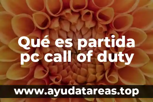 Qué es partida pc call of duty