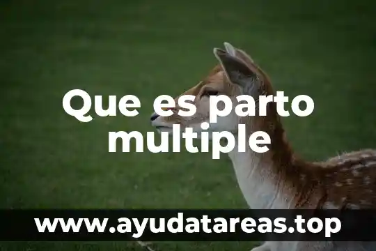 Que es el parto y etapas redalyc 8 Que es parto multiple