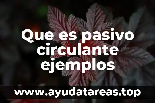 Que es pasivo circulante ejemplos