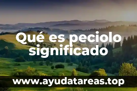 Qué es cocuyos significado 7 Qué es peciolo significado