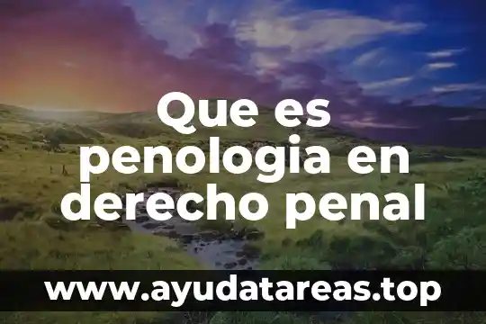 Que es penologia en derecho penal