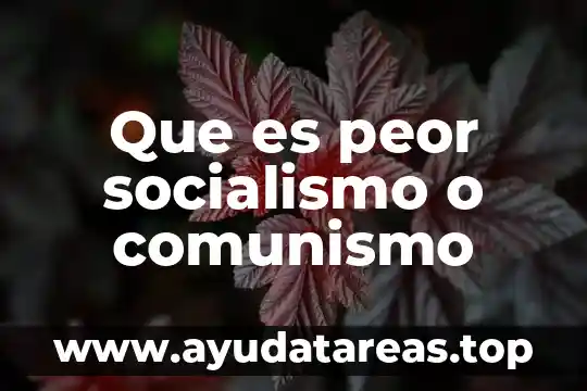 Que es comunismo y materialismo 4 Que es peor socialismo o comunismo