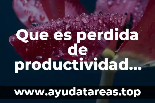 Que es perdida de productividad laboral