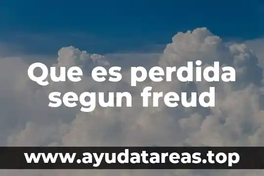 Que es perdida segun freud