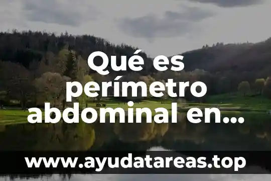 Qué es el área perímetro y volumen de una figura 3 Qué es perímetro abdominal en general