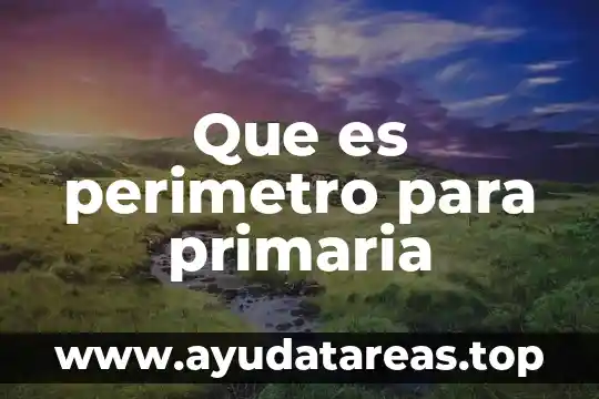 Que es ml en números cuánticos 6 Que es perimetro para primaria