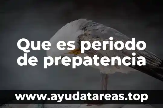 Que es el periodo de concepción en bovinos 7 Que es periodo de prepatencia
