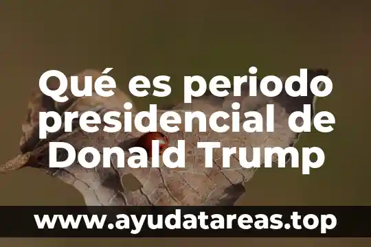 Qué es periodo presidencial de Donald Trump
