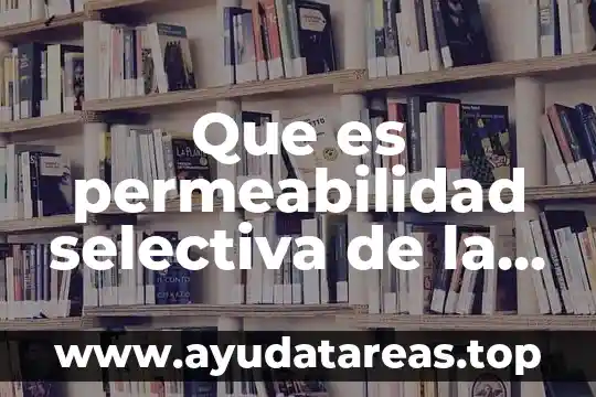 Qué es la membrana plasmática de la célula animal 7 Que es permeabilidad selectiva de la membrana celular