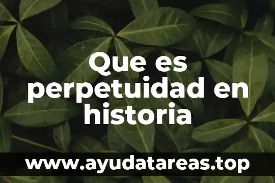Historia de que es y como nace un pararrayos 3 Que es perpetuidad en historia