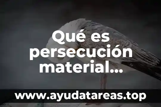 Qué es persecución material derecho penal