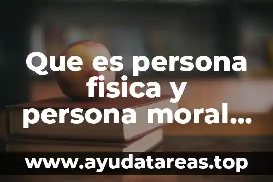 Que es persona fisica y persona moral entidad economica
