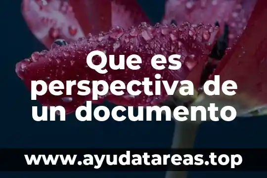 Que es perspectiva de un documento