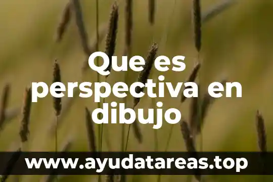 Que es perspectiva en dibujo