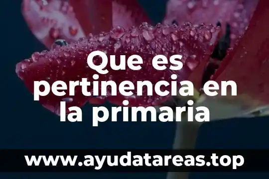 Que es un estudio de pertinencia y factibilidad 8 Que es pertinencia en la primaria
