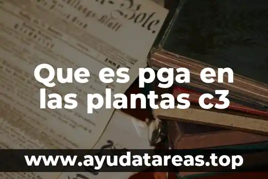 Que es pga en las plantas c3