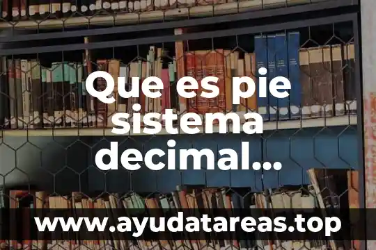 Sistema microsip que es 3 Que es pie sistema decimal significado y concepto