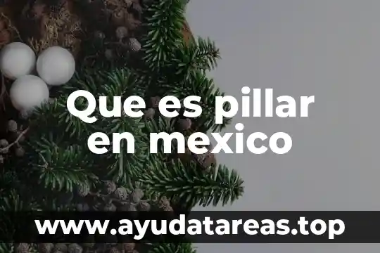 Que es el oktoberfest mexico 3 Que es pillar en mexico