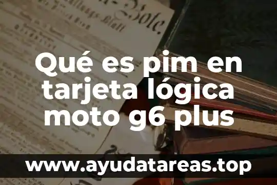 Qué es pim en tarjeta lógica moto g6 plus