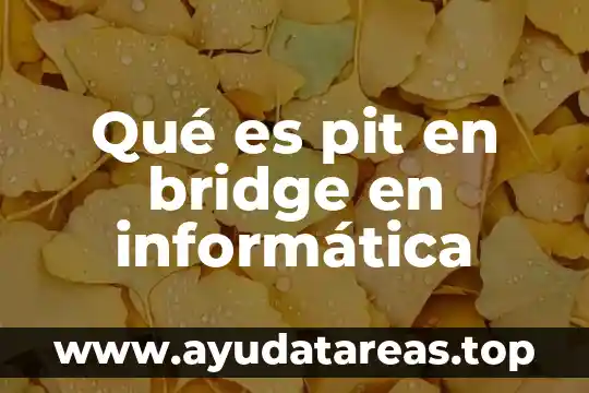 Wds bridge que es 5 Qué es pit en bridge en informática