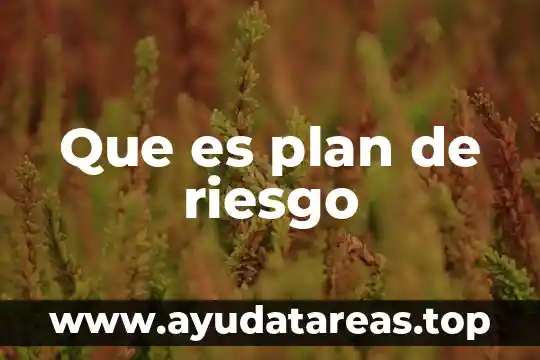 Que es un plan de horizonte temporal 5 Que es plan de riesgo