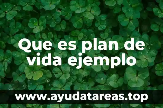 Por que es importante el agua en la vida diaria 6 Que es plan de vida ejemplo