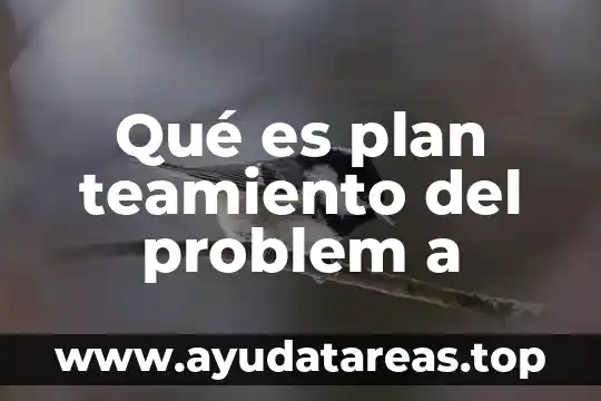 Que es un plan de horizonte temporal 8 Qué es plan teamiento del problem a