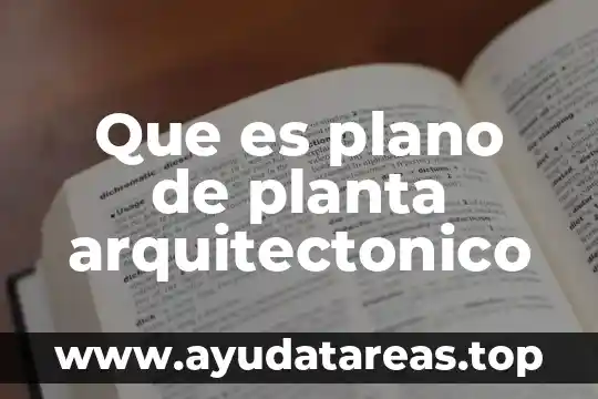 Epitelio estratificado plano que es 6 Que es plano de planta arquitectonico