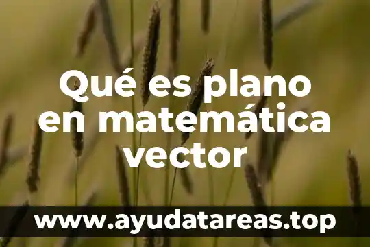Qué es plano en matemática vector