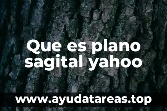 Que es plano de planta arquitectonico 7 Que es plano sagital yahoo