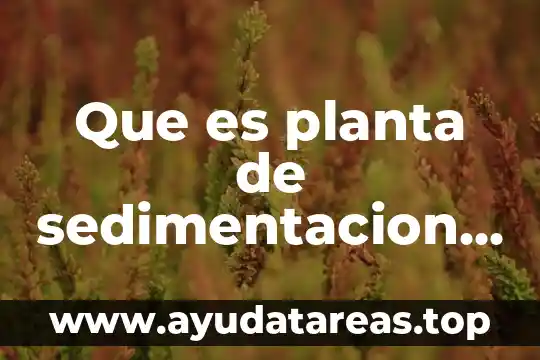 Que es el dimensionamiento de planta 7 Que es planta de sedimentacion arquitectura
