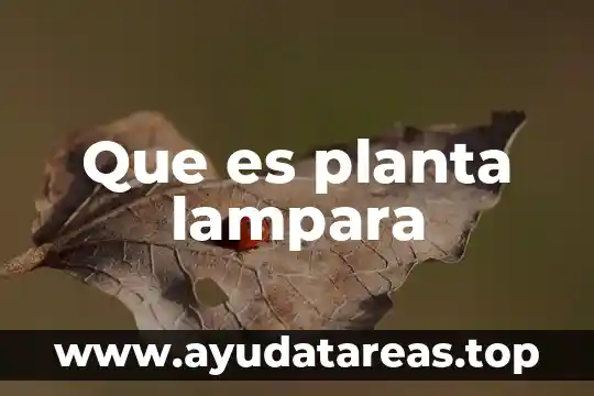 Qué es una planta de emergencia portátil 3 Que es planta lampara