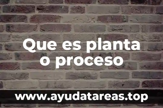 Que es lo que necesita una planta medicinal para crecer 5 Que es planta o proceso