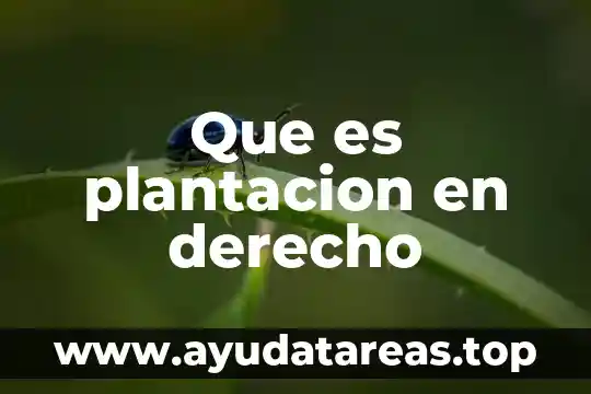 Que es la pena de muerte en derecho 8 Que es plantacion en derecho