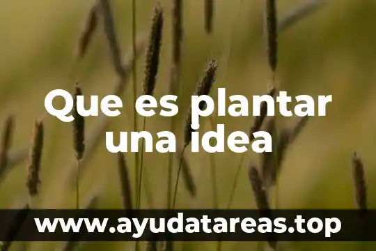 Que es plantar una idea