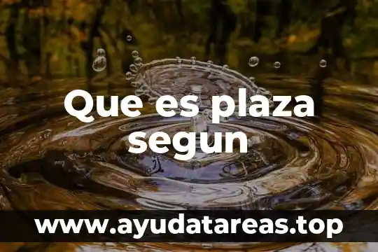Que es plaza segun
