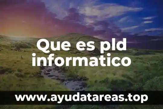 Que es pld informatico