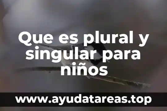 Que es ser una persona plural 3 Que es plural y singular para niños