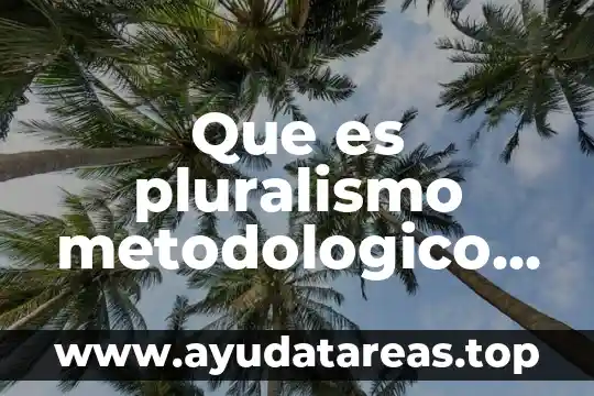Que es pluralismo metodologico de la investigacion